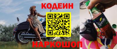дмт Кингисепп