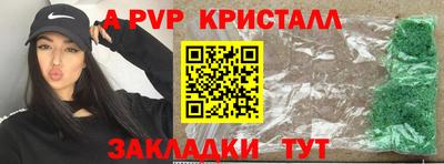 дмт Кингисепп