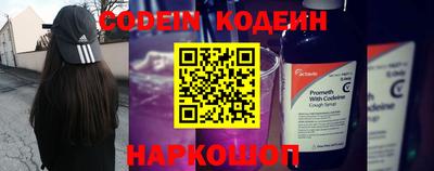 дмт Кингисепп