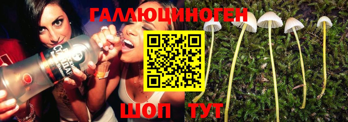 Галлюциногенные грибы мухоморы Камышин