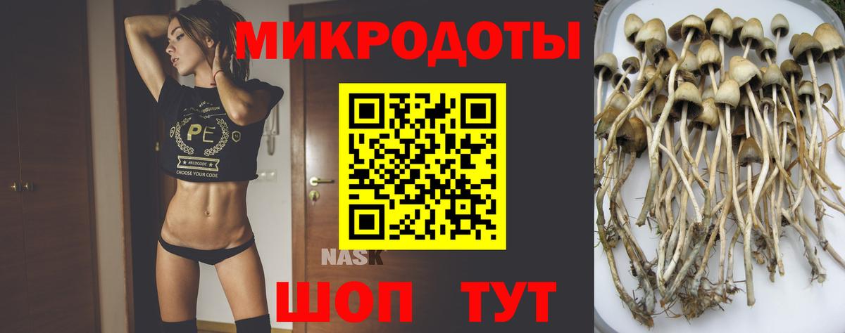 Камышин  Галлюциногенные грибы Cubensis  Вход с VPN 